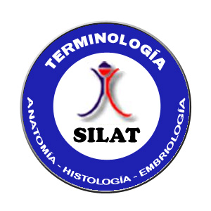 Silat logo