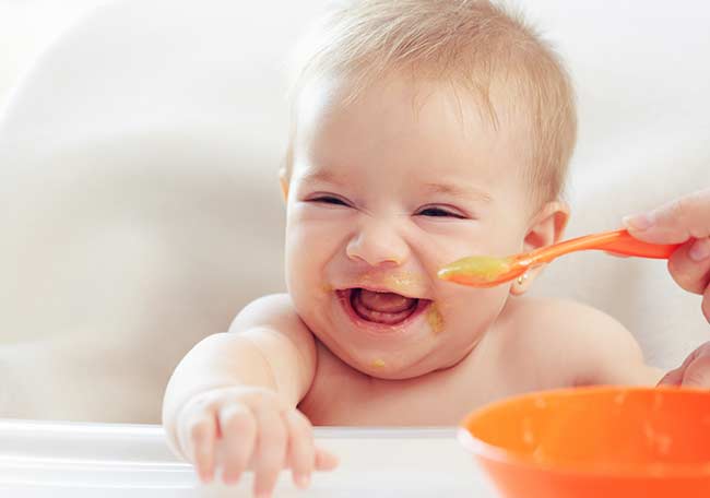 Cómo introducir los sólidos a mi bebé: 13 grandes libros sobre alimentación  complementaria