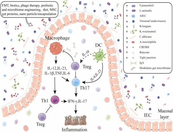 Mecanismos de la disbiosis en la EII.