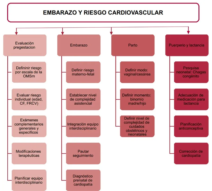Consenso de embarazo y patologías cardíacas de la Sociedad Argentina de Cardiología