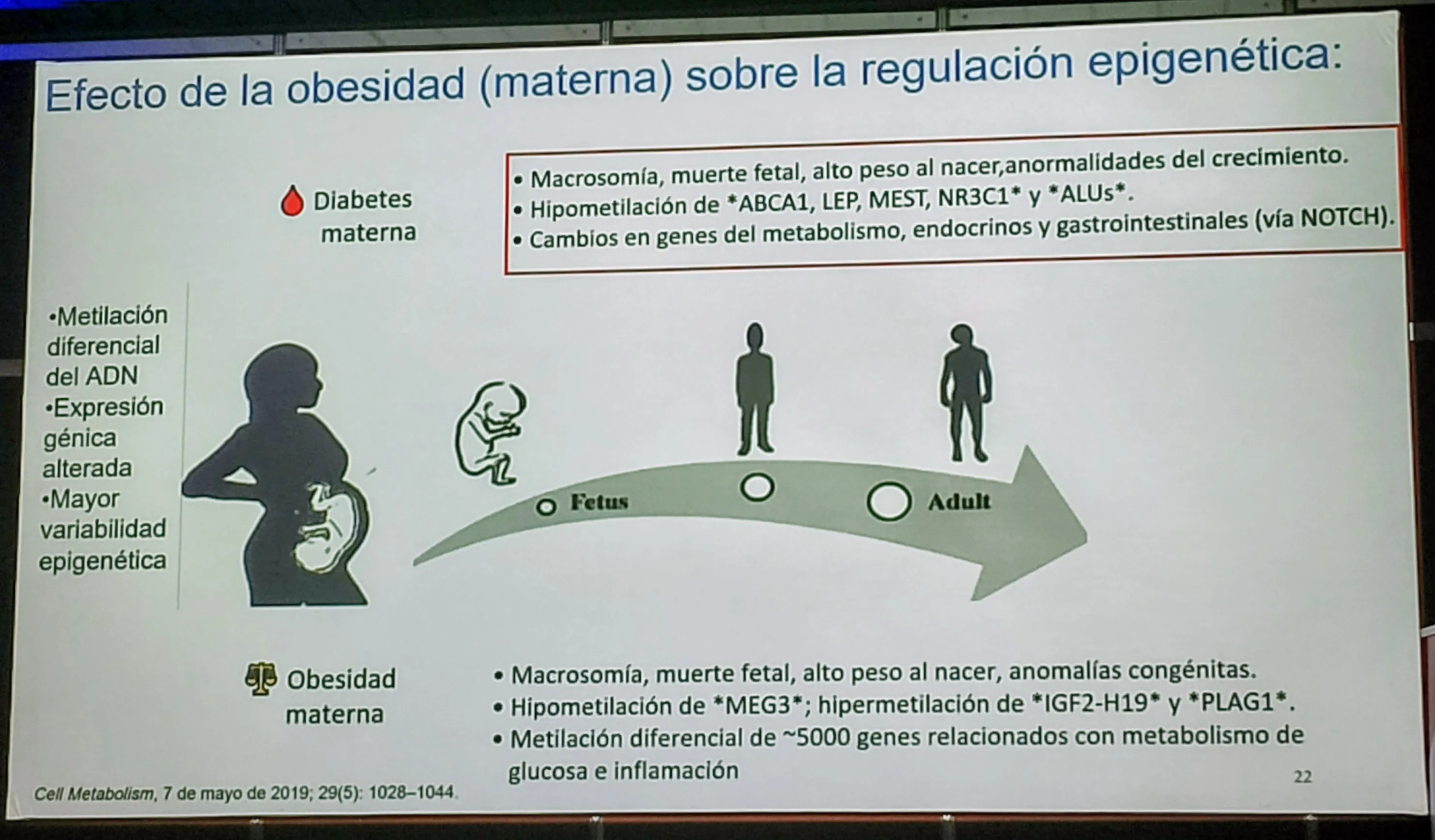Obesidad, embarazo y riesgo cardiovascular